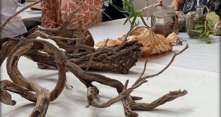 Materials moved between indoors and outdoors to spark curiosity