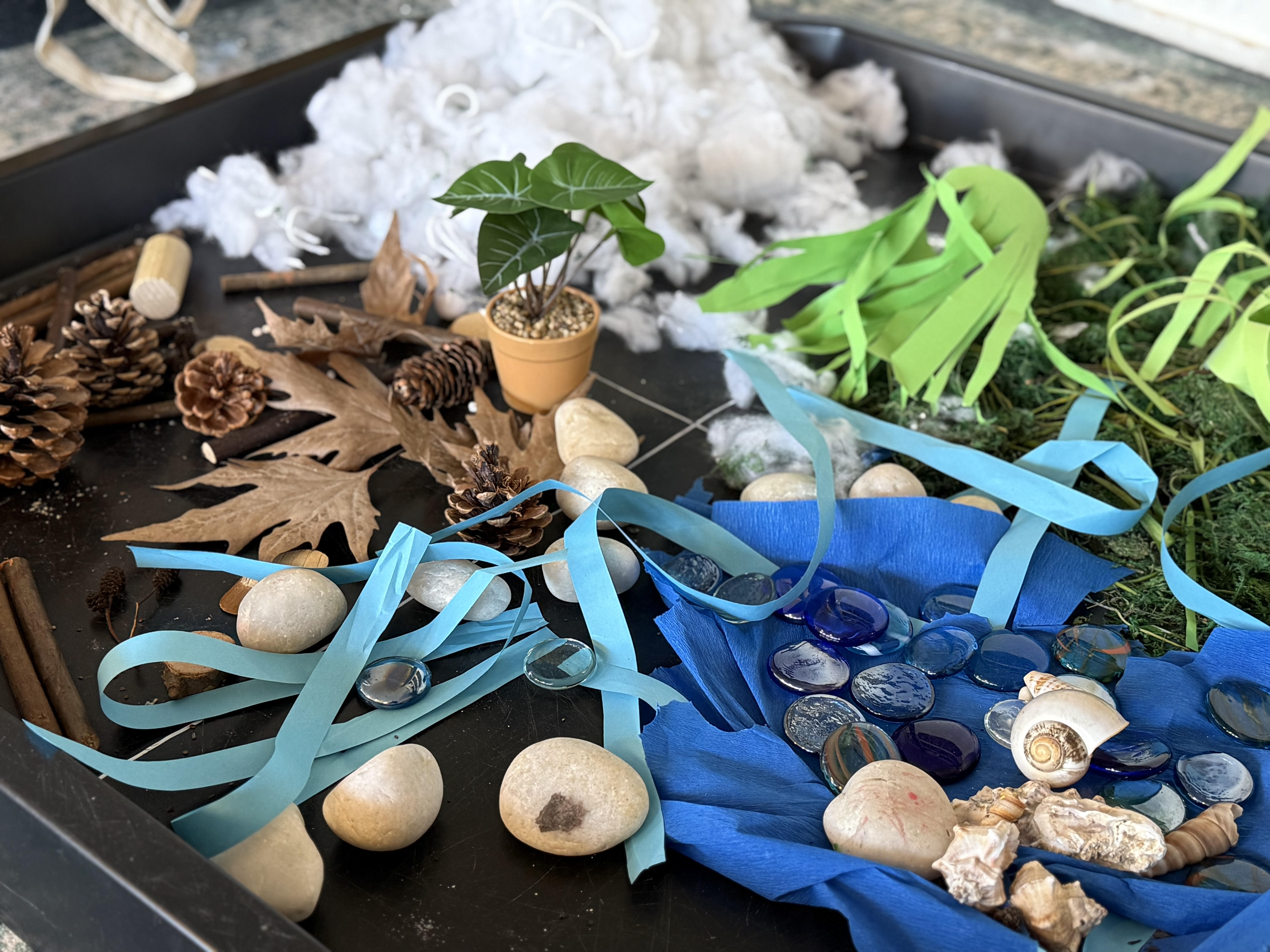 Outdoor learning — gathering natural resources