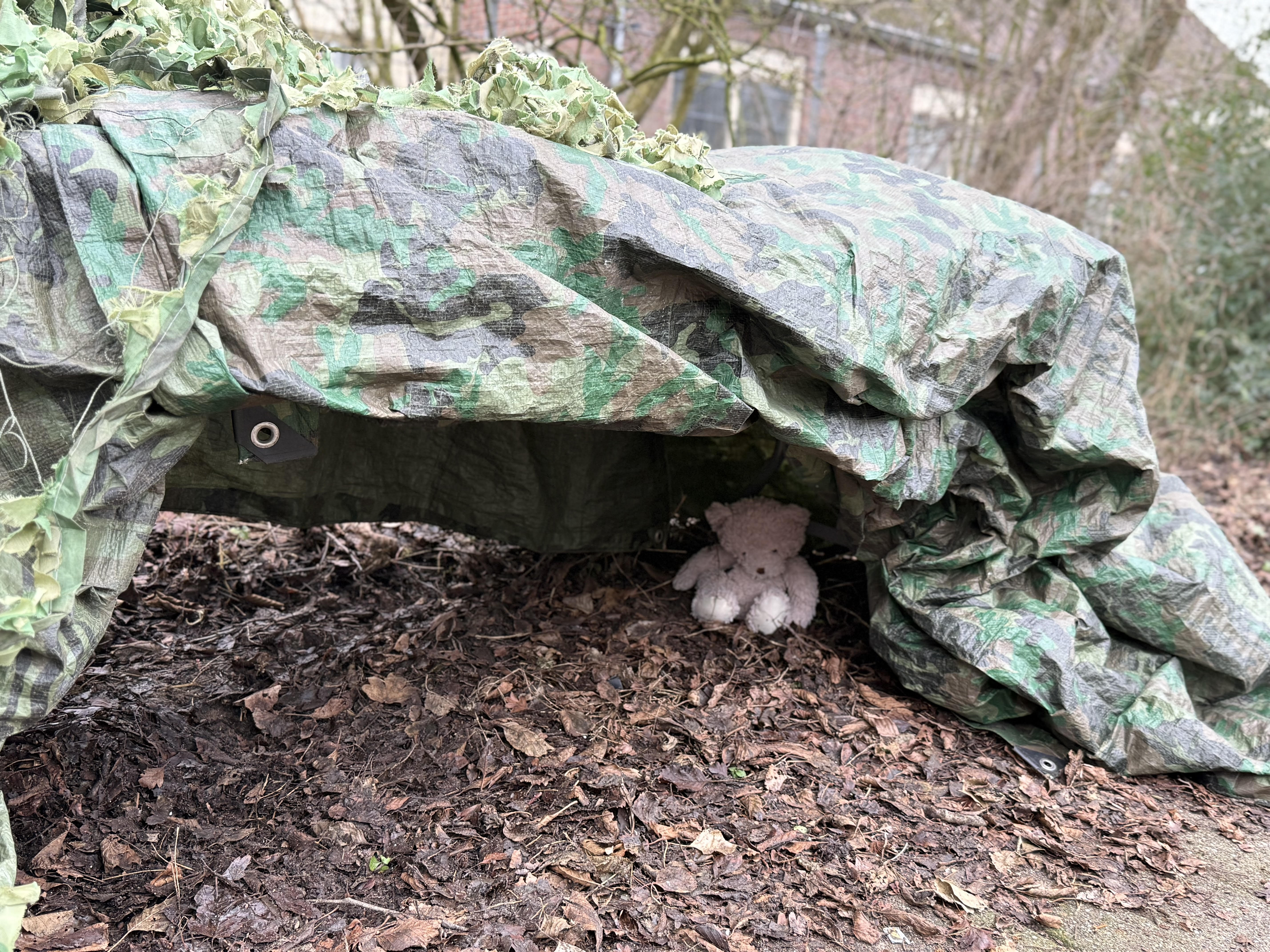 Outdoor learning — entering the bear's cave