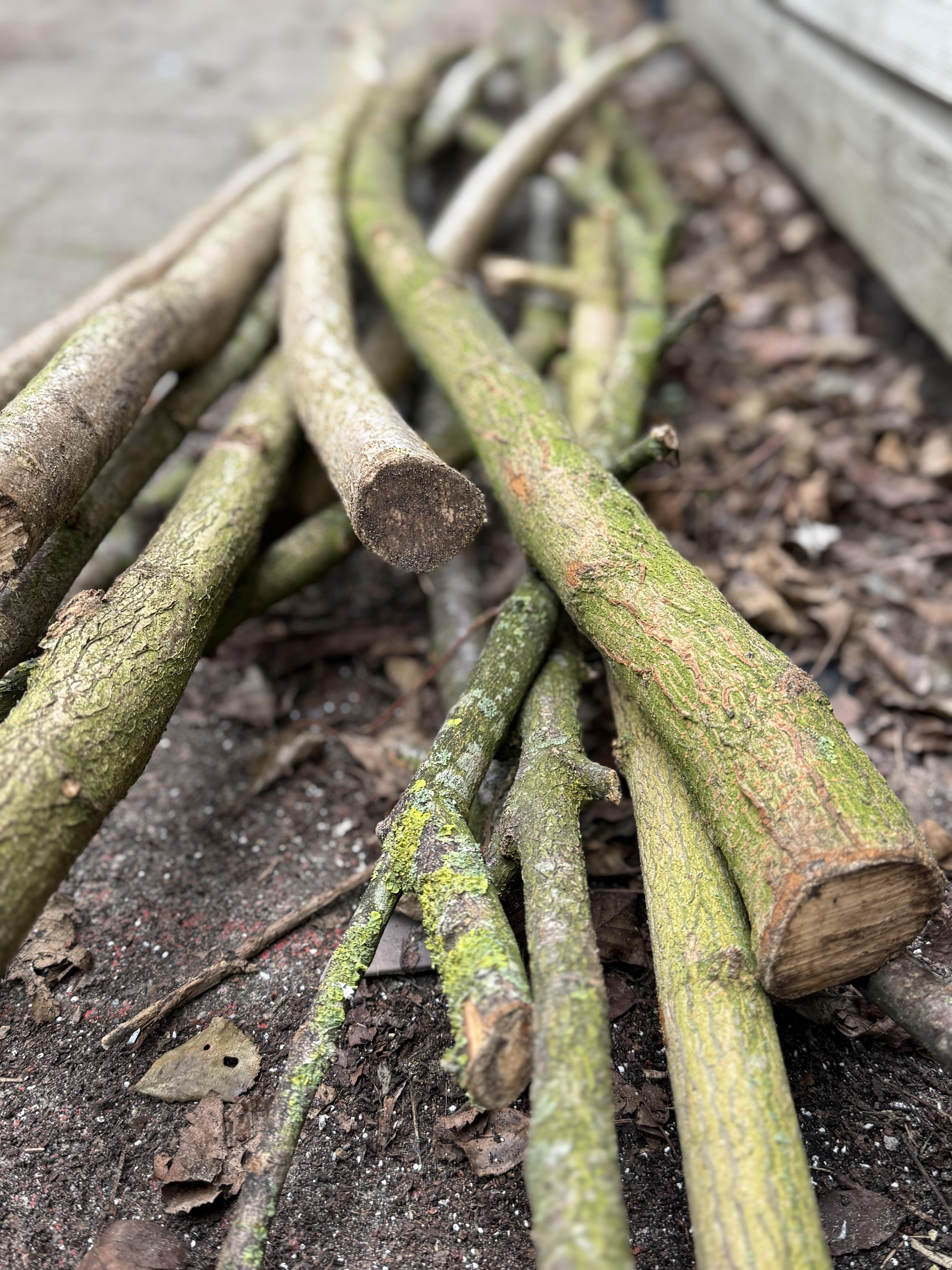 Outdoor learning — stepping over sticks